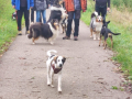 IMG-20241003-WA0029web